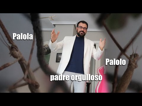 vivo con 2 aliens