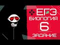 ЕГЭ биология 2020 Задание 6 Рохлов разбор