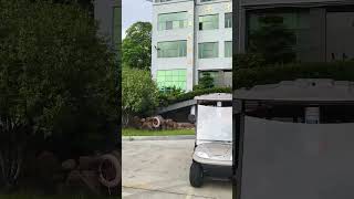Electric Golf Cart Shipment Loading | Ready for Delivery