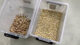 optical sorter for peanut