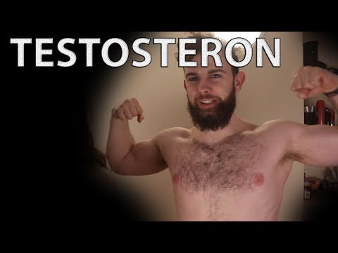 TESTOSTERON - za co odpowiada i jak naturalnie podnieść jego poziom