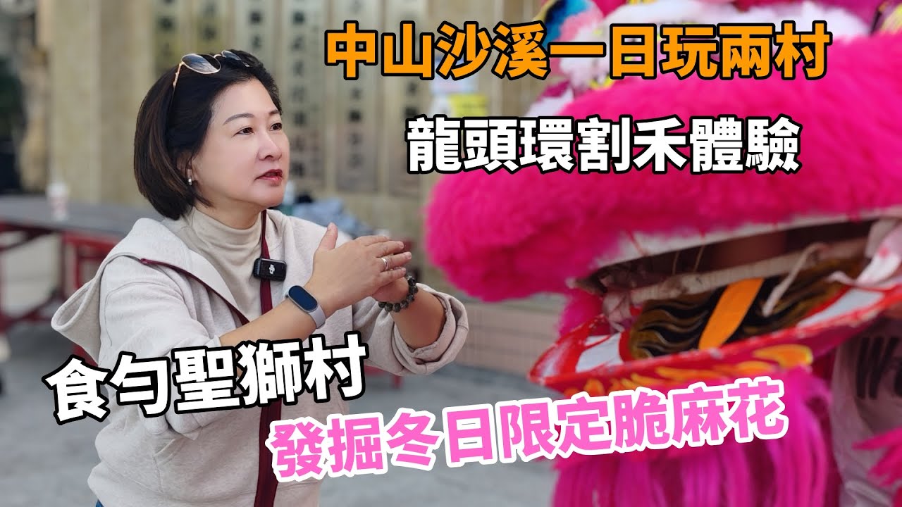 跟住Jacky 一日玩轉中山沙溪兩條村！先去龍頭環村，落田體驗傳統割禾，感受豐收喜悦。再衝入聖獅村，掃街地道老字號網紅店。發掘冬日限定脆麻花，全程記錄最真實嘅鄉村生活同人情味。