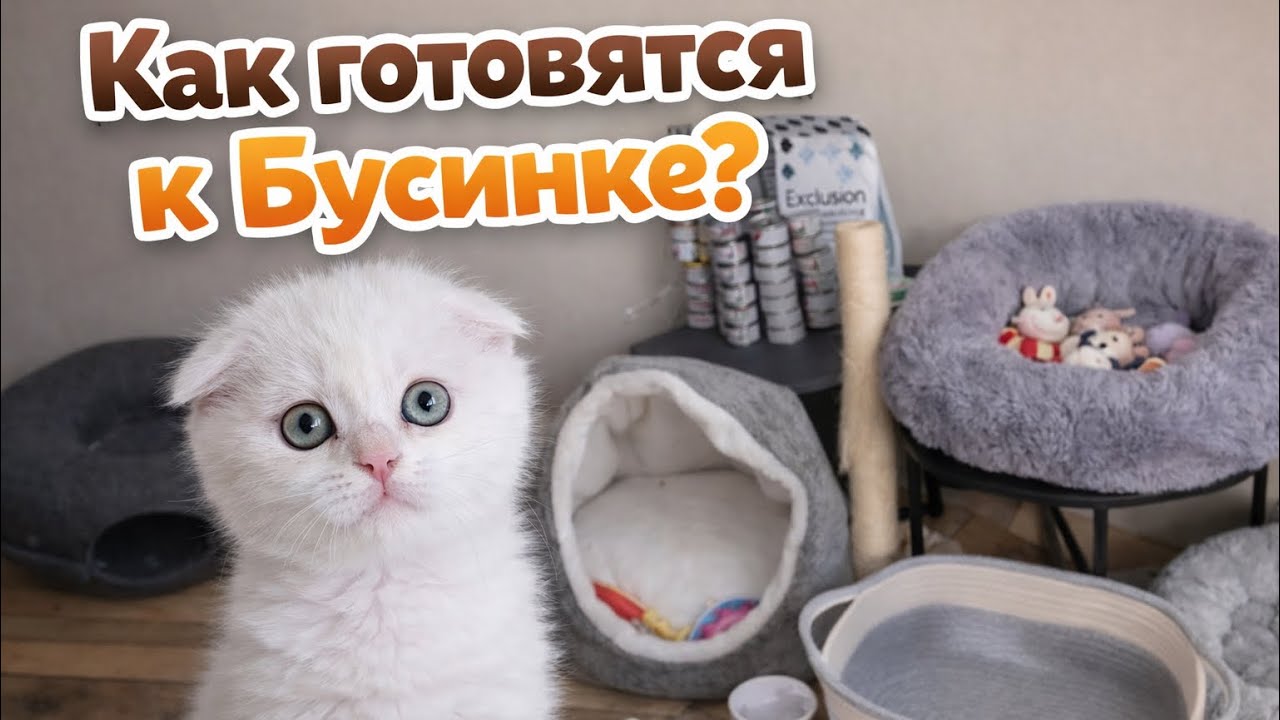 Как готовятся к приезду Бусинки? 🥹