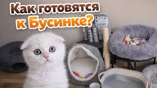 Как готовятся к приезду Бусинки? 🥹
