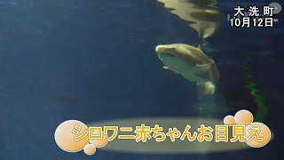 メインサムネイル