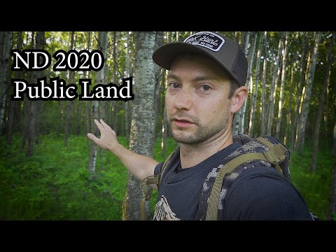 Scouting North Dakota for Deer with Shane Simpson