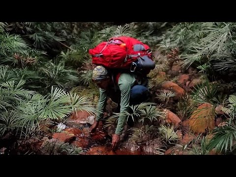 KARAKTERISTIK HUTAN HUJAN TROPIS || EIGER KNOWLEDGE