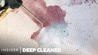 How A Professional Steam Cleaner Removes Wine Stains From Carpets | Deep Cleaned