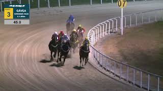 Vidéo de la course PMU PREMIO AFRICAN BOY