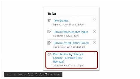 Canvas Peer Review