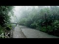 4k walking in the todoroki valley in the rain  tokyo japan