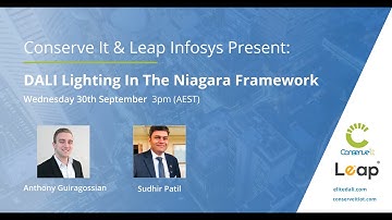 Conserve It & Leap Infosys Present: Elitedali - DALI Lighting In The Niagara Framework