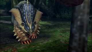 MHP3rd Walkthrough Village Quest #5:Harbinger of terror