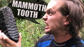 Mammoth, Rhino and other Ice Age Fossils Discovered  | Florida Fossil Hunting Episode 05