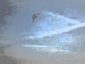 Spider stunt kite by passionkitescom
