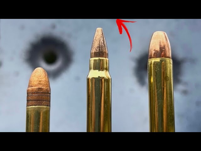 22LR vs 17 HMR vs 22 MAG: Never Would’ve Guessed class=