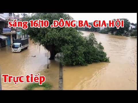 Trực tiếp tình hình lụt 16/10 tại cầu Đông Ba, Gia Hội | Trân Trân Huế thương