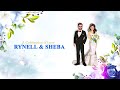 Rynell  sheba wedding invitation  caricature wedding invite  piktur3 production