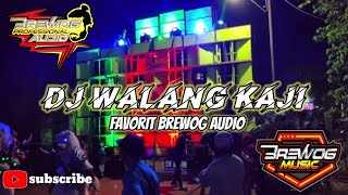 🔴Dj walang kaji //favorit BREWOG Audio....