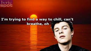 Shawn Mendes - In My Blood (Lyric)