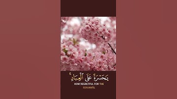 قرآن كريم/راحه نفسية/ ستوريات واتس اب🌿/ارح قلبك بتلاوه قرائنيه جميله 🌿