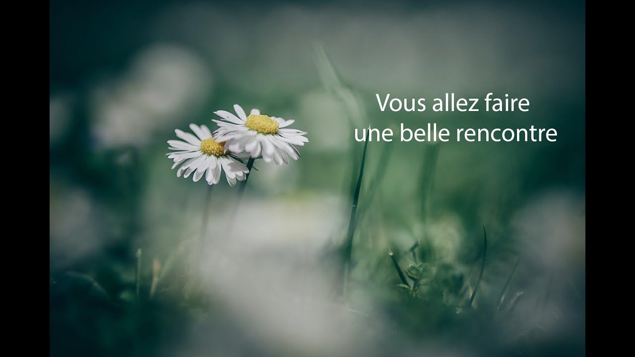 ou faire de belle rencontre