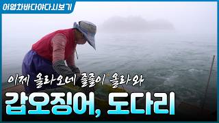 어영차바다야 플러스_fish,fishing,fisher 대표 영상 썸네일