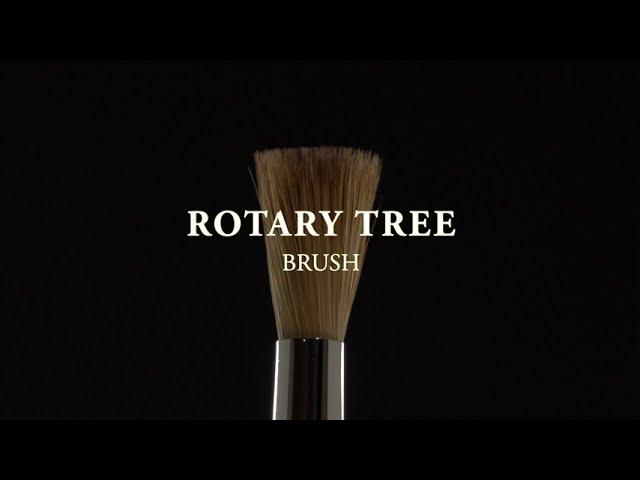 Which Rosemary & Co Brush is Right for You? 
