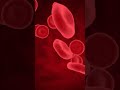 Your Body Is a City—and Cells Run Everything! 🧬