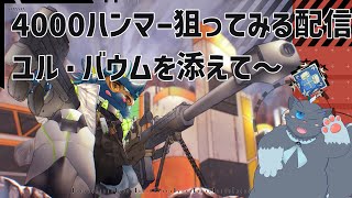 【APEX】4000ハンマー狙ってみる！ユル・バウムを添えて～