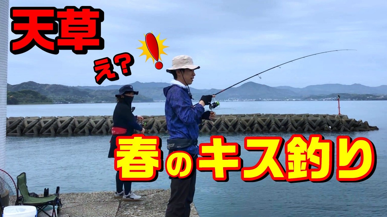 I wanted to eat tempura made from spring sillago caught in Amakusa