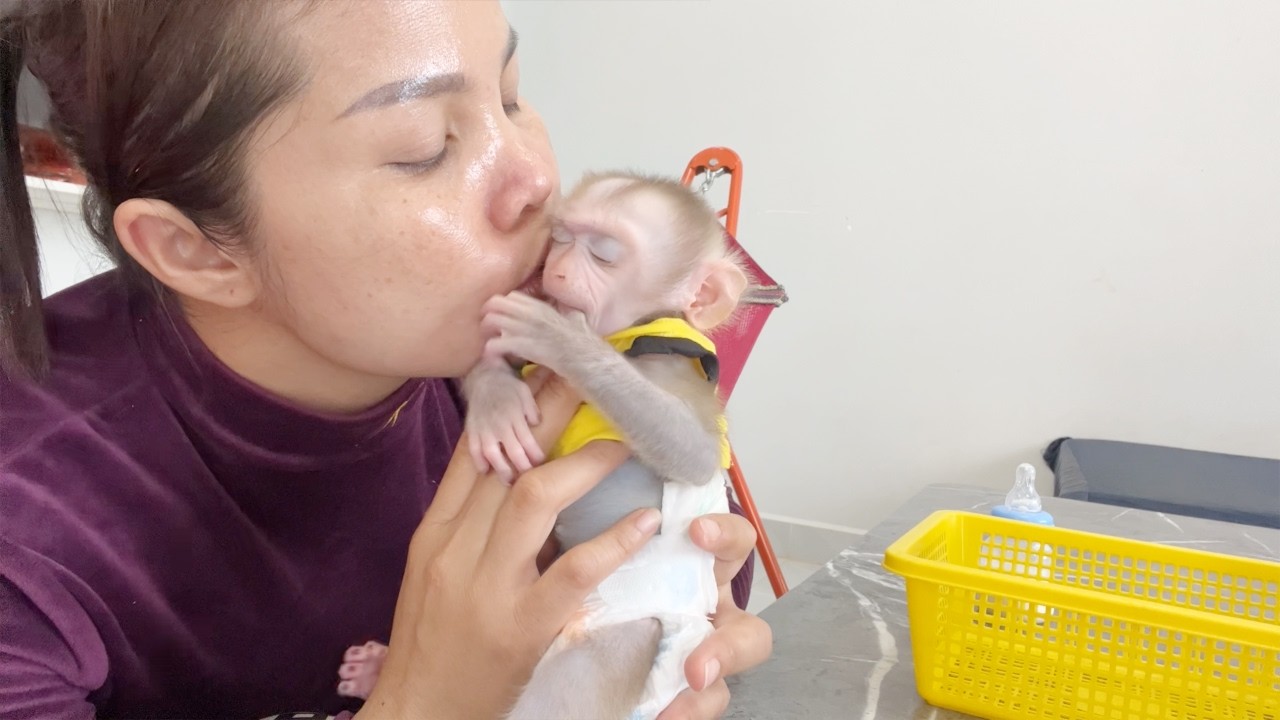 Tiny Tauch Very Sleepy After Drink Milk Not Care About Mom Kissing