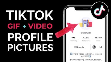 How to Use Any GIF or Video as your TikTok Profile Picture