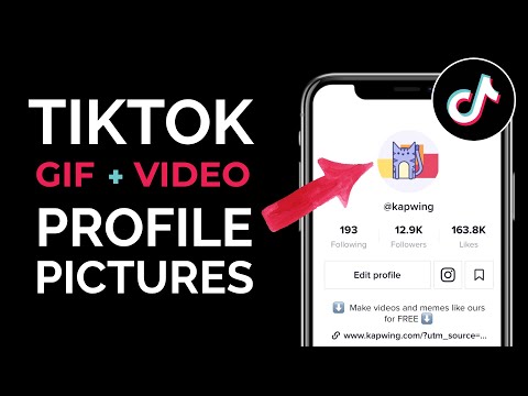 How To Make GIFs From TikTok Videos 