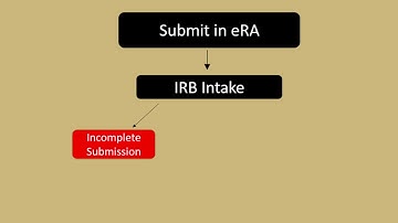 IRB Process