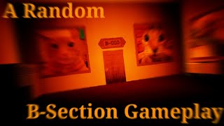 A random B-Section gameplay | Rooms: Low Detailed