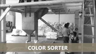 ISORT Color Sorter - Sesame Processing Line