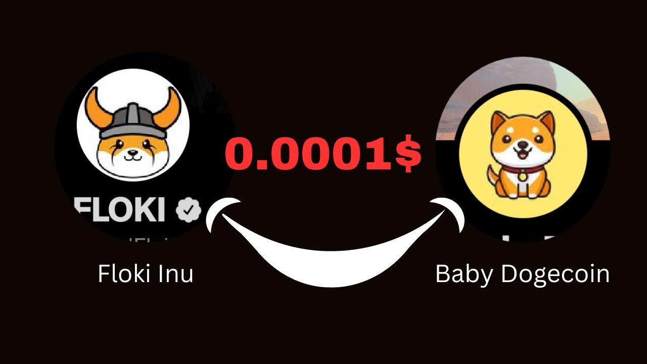 FLOKI INU the New Chief of People's Meme Coin | Baby Dogecoin Vs Floki Inu Price Prediction