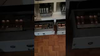 Telefunken V69 with EL504 + Audio Music RT2 silver edition