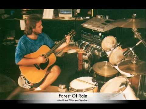 Matthew Vincent Walker - Forest Of Rain