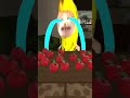 Hungry Bananacat #gmod 😺🍌