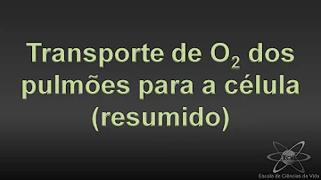 Como o oxigênio e gás carbônico é transportado através do sangue?