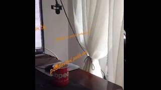ARkit & MLKit Objects Recognitions Virtual Tag Name.