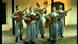 Los trovadores de Cuyo - El jarillero chords