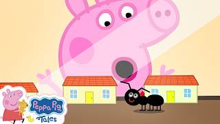 Big Bug Museum 🐷 Peppa Pig Full Episodes | Best Peppa Pig Cartoons for Kids