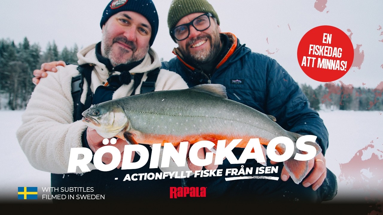 Från noll till 100 – rödingkaos på isen!