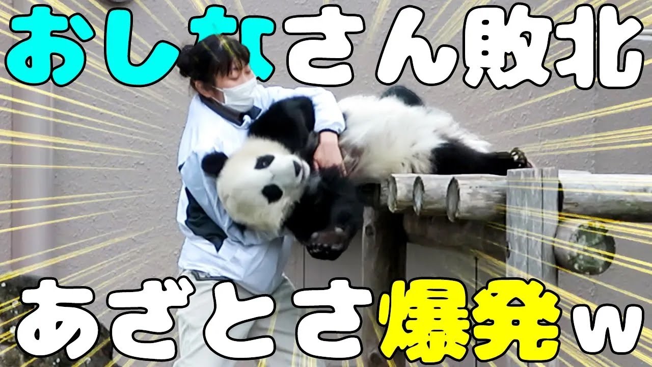 徹底的に帰宅拒否する楓浜🍁自分の可愛さを最大限に利用しよったｗ😆