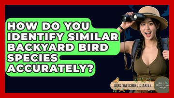 How Do You Identify Similar Backyard Bird Species Accurately? - Bird Watching Diaries