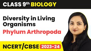 Phylum Arthropoda - Diversity in Living Organisms | Class 9 Biology | 2023-24