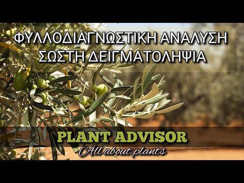 Φυλλοδιαγνωστική Ανάλυση Ελιάς‼️Σωστή